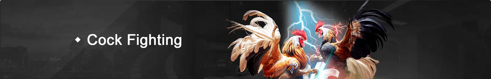 GG777 Cockfighting