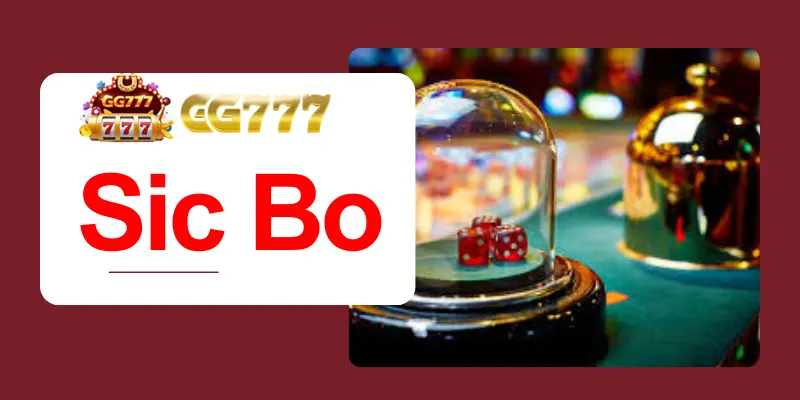 Tactics you need to know when playing MD5 Sic Bo